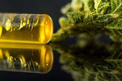 cannabis processors license oklahoma